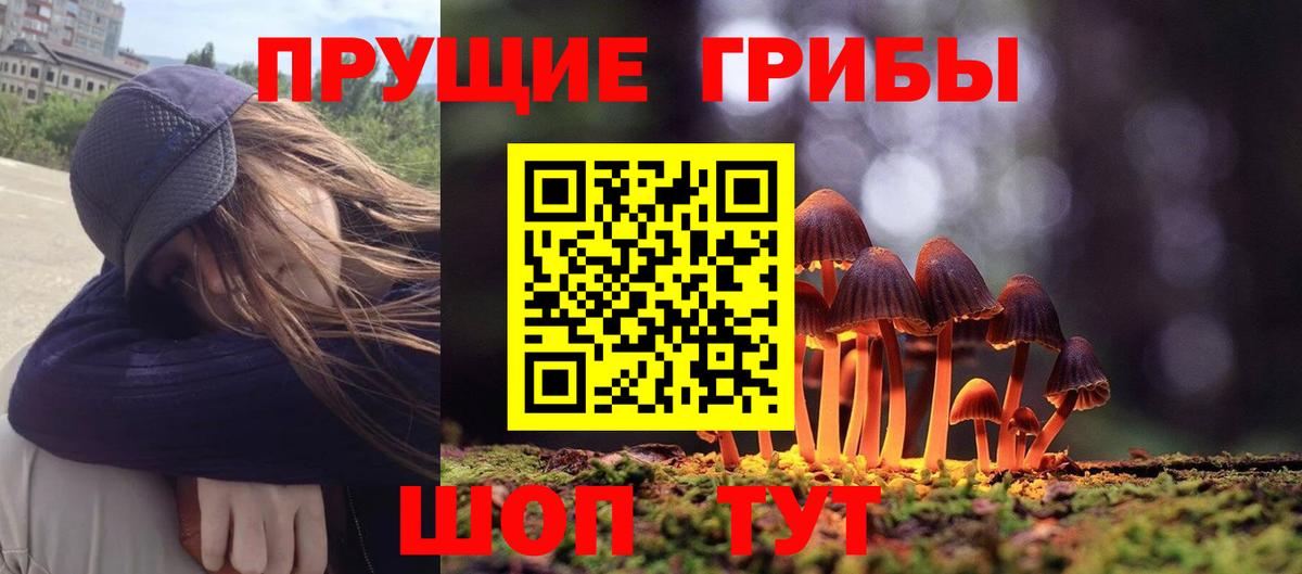 Псилоцибиновые грибы прущие грибы Ачхой-Мартан