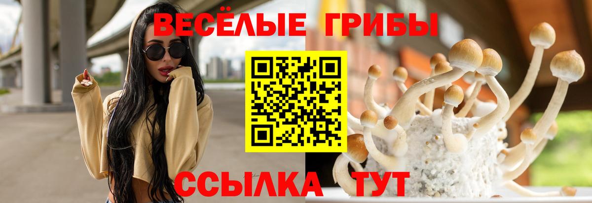 Ачхой-Мартан  Галлюциногенные грибы ЛСД  наркота  Вход с VPN 